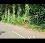 കറുകച്ചാൽ 20 cent house plot.2.75 .lakh. cent.