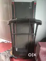 Treadmill  cockatoo