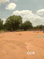 Plot layout
