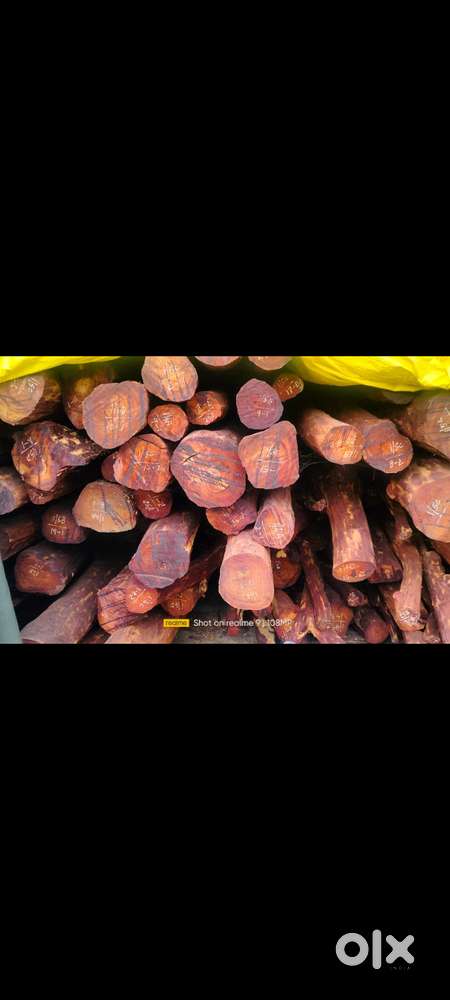 Wanted investors for wood business  you can make a good monthly profit