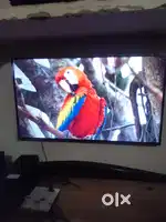 TCL Tv of 56 Need money urgent sale
