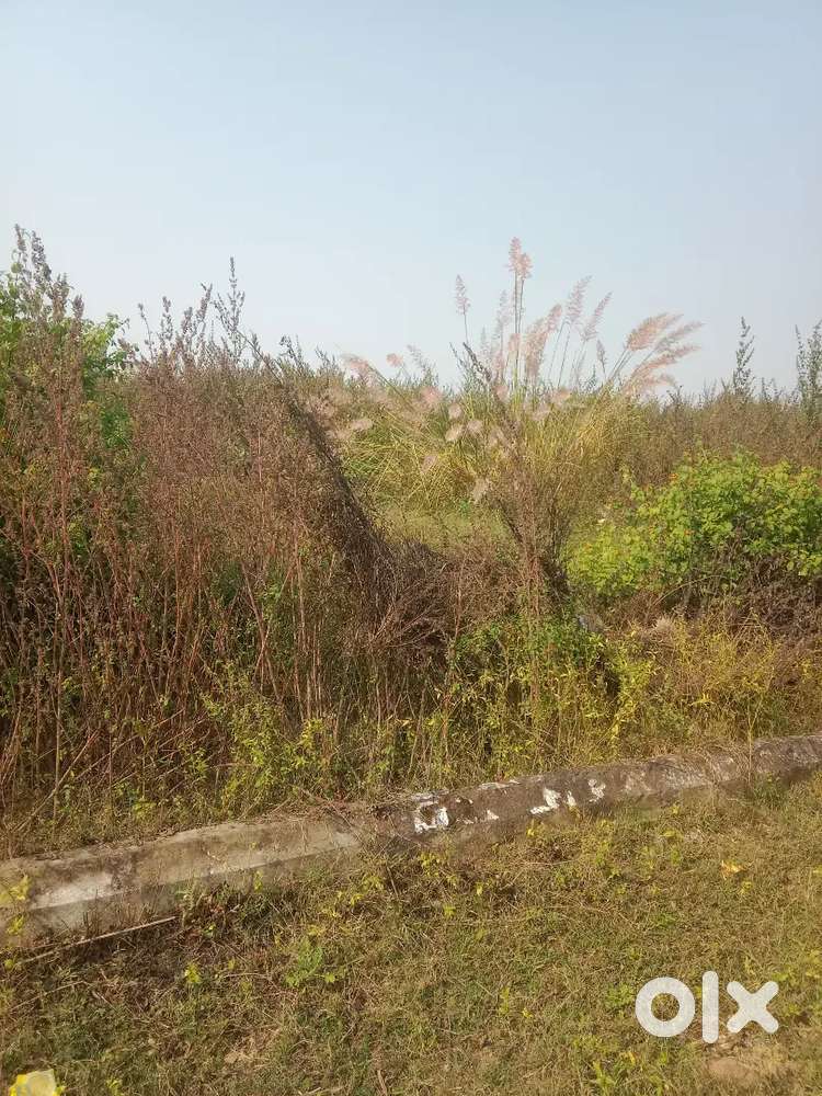 PLOT FOR SALE IN LAULAI AMITY UNIVERSITY MALHAUR GOMTI NAGAR LUCKNOW