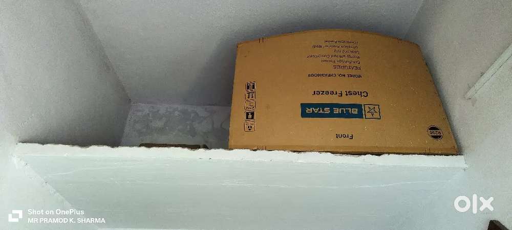 SHOP FOR RENT IN FRONT OF GOVT GIRLS HOSTEL PANCH DUKAN