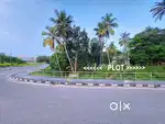 52 Cent plot with House nearby Technopark ph 4 Pallipuram Mangalapuram