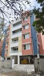 House and appartments for rent available
