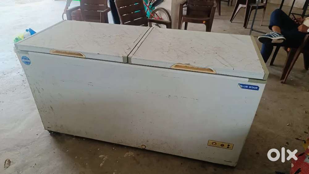 Samsung Blustar Deepfrize double door 575 lt