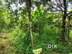 23 cent house plot near national highway
