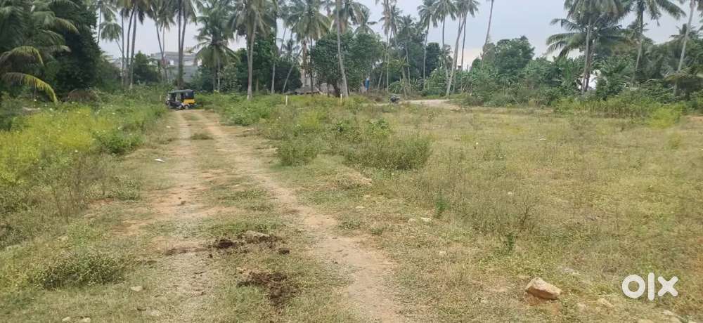 PLOT FOR SALE 3 CENTS IN NAGULAPALLI NEAR HOUSES WTH15FTROAD NR HOUSES