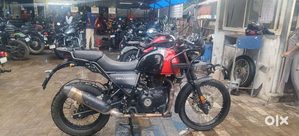 HIMALAYAN For SALE
