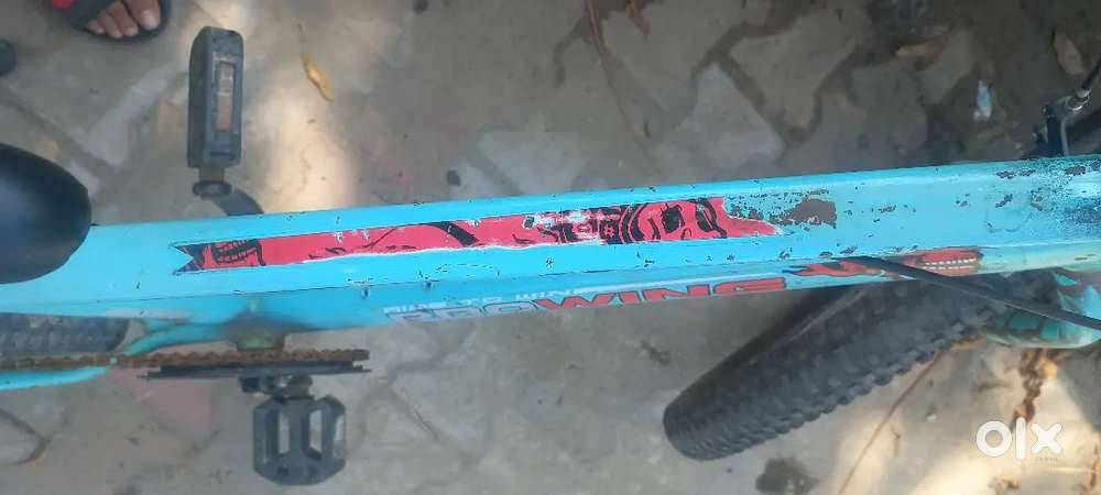 Ye cycle best deal hai