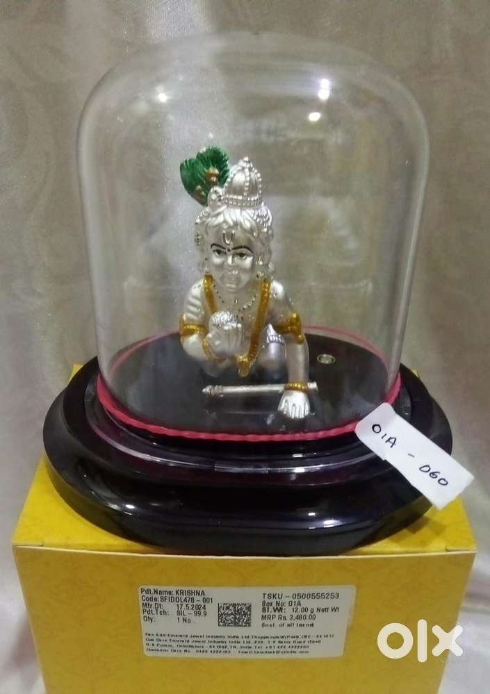 Ladies, PG and working women’s