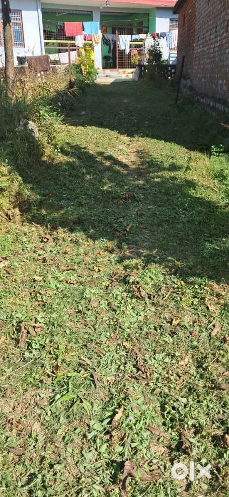 15 Marla  1.5 Km from SSB chowk Palampur