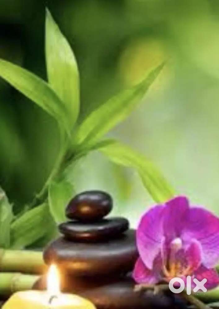 Vacancy available beutey spa females therapy Jobs