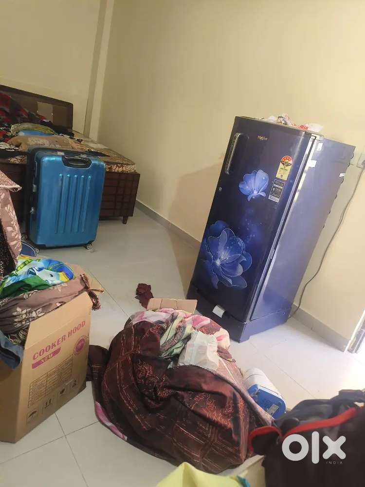 3bhk fully furnished brand new flat