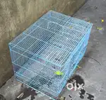 Birds Cage