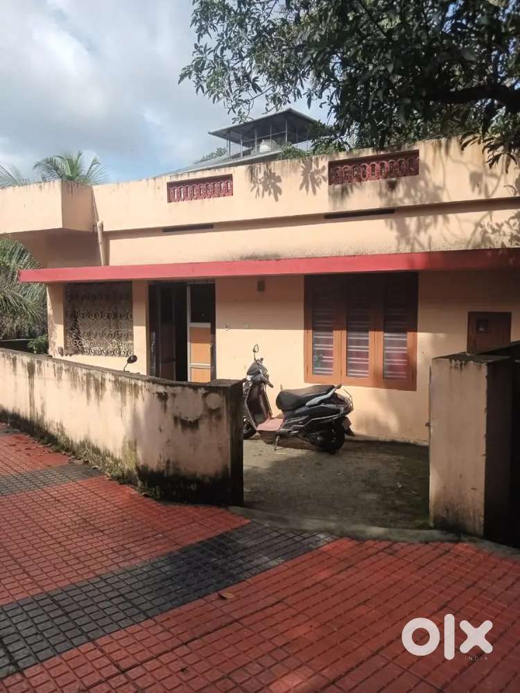 Ladies pG for rent room
