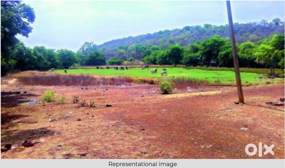 1 Beegha Land for Sale