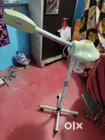 Parlour steamer for face