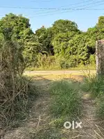 Farm for sale