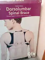 Dorsolumbar