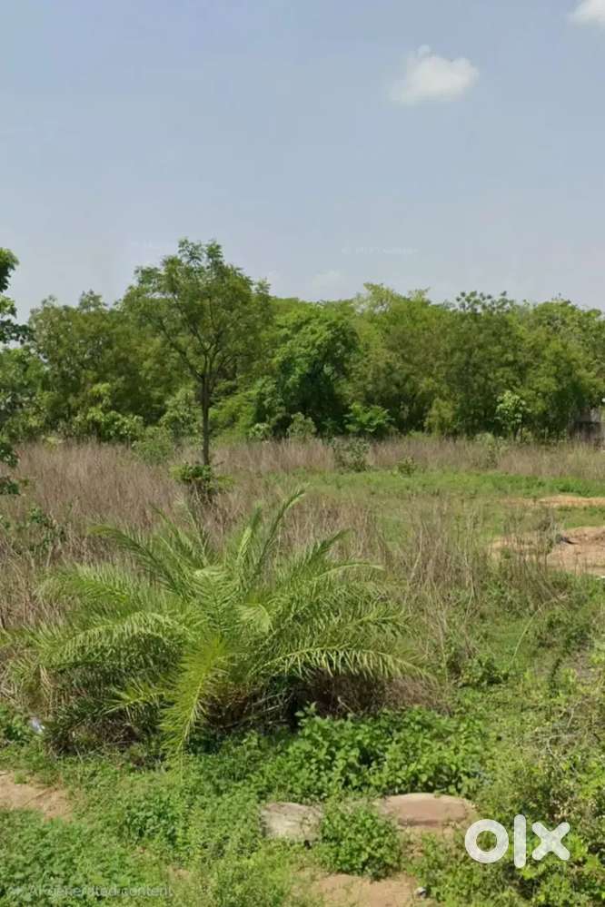 Open Plot of 400 sqft(3.5 Guntas) for sale in Siddapur