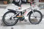 Bycycle 24
