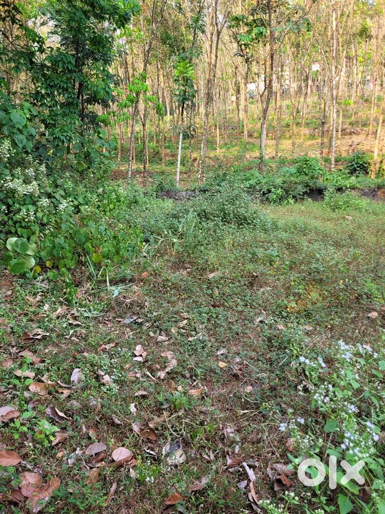 Residential Plot For Sale