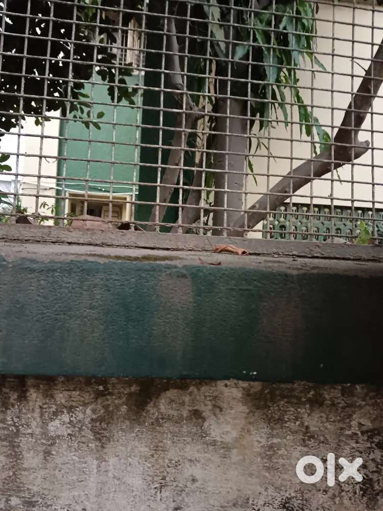 Room patner girl chahya