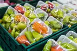 Part Time daily Wage Grocery Delivery Boys at online grocery Firm