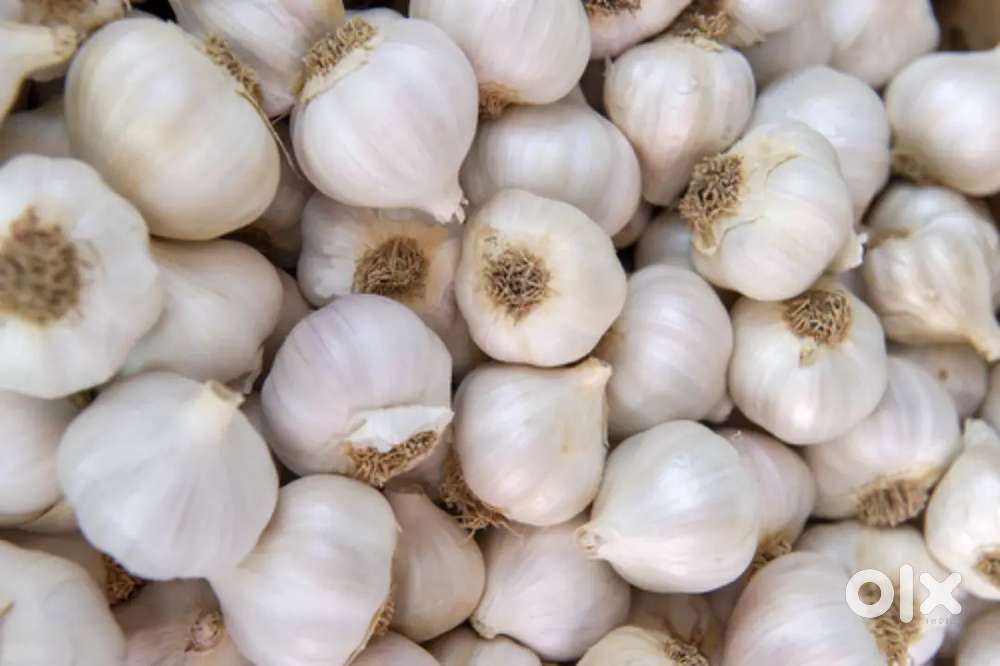 Lady auto driver required to sell garlic