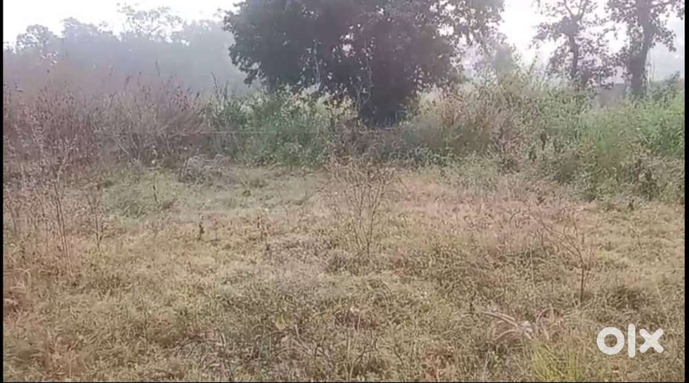 CNT LAND 3 DECIMLE NEAR CHHOTA AMBONA STATION