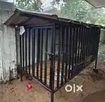 Dog cage 7 feet length x 3 feet width x 4 feet