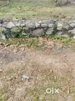 5 CENT PLOT NEAR KJK HOSPITAL NALANCHIRA