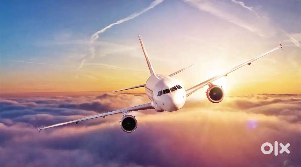 Urgent hiring for ground staff and driving job in gorakhpur Airport