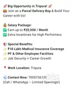courier delivery boy