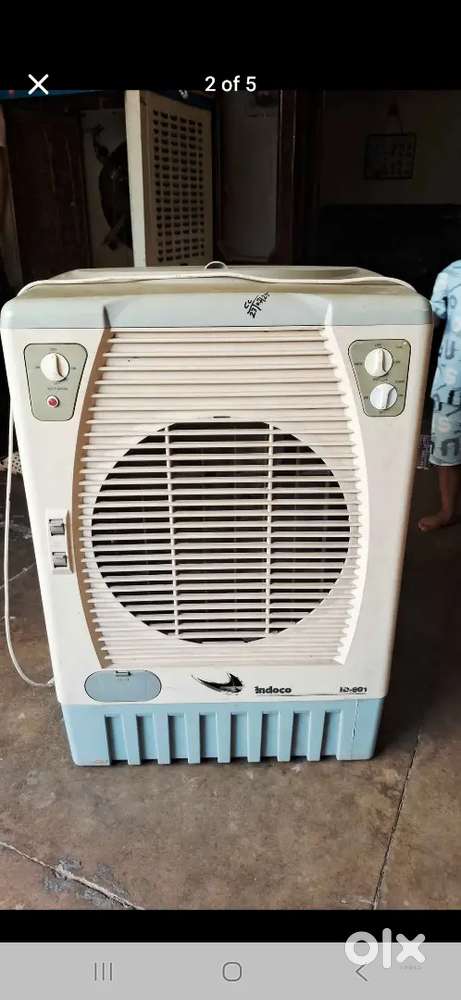 Indoco culer