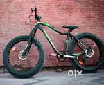 Big fat cycle