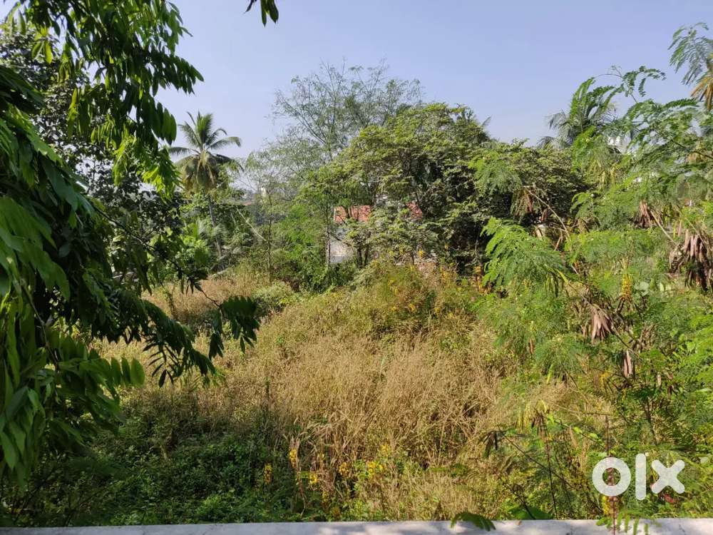 40 cents residential land for sale at valapad thrissur