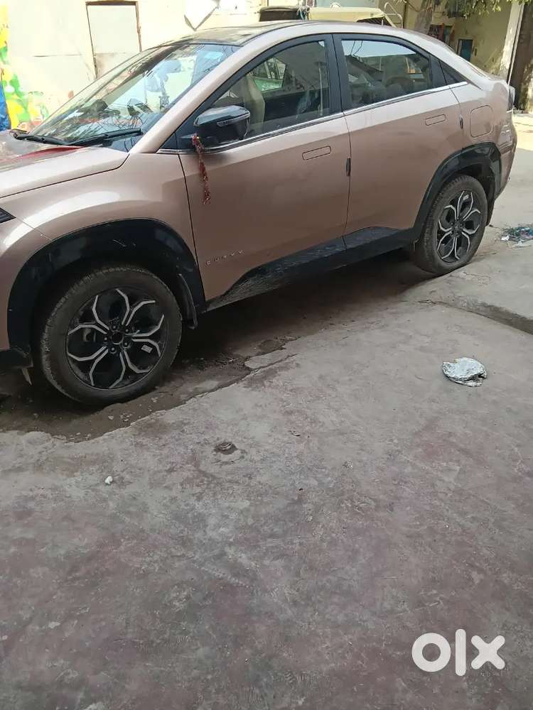 Personal driver cum helper