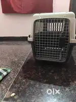 dog travel carrier