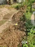 5200 sqr feet plot selling