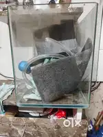 Fishtank aquarium