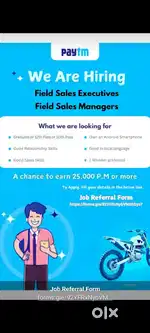 Sales executive