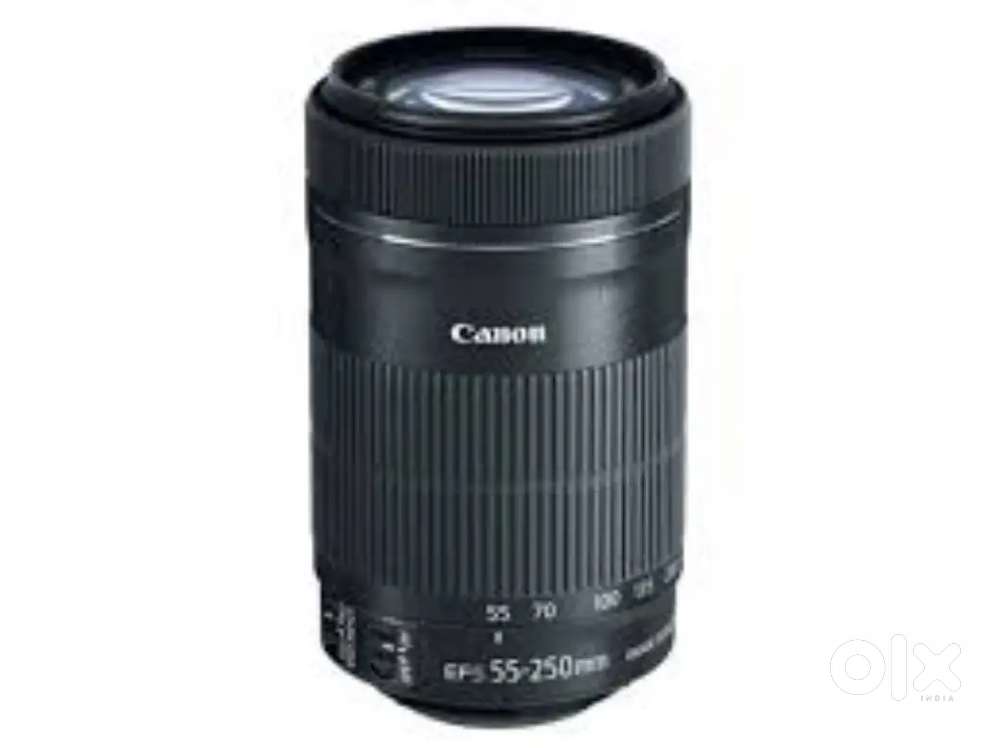 Canon 55 250 lens