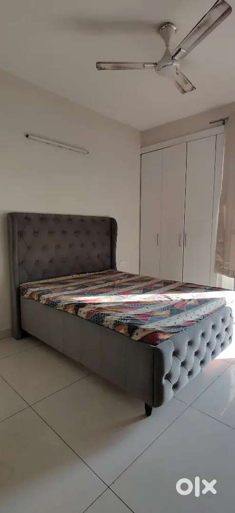 Need a Girl Flatmate