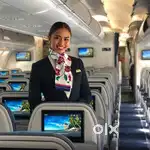Jobs in indigo Airlines urgent hiring apply fast