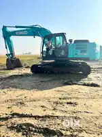 Rental excavator