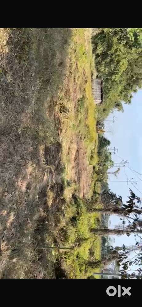 Money problem karone