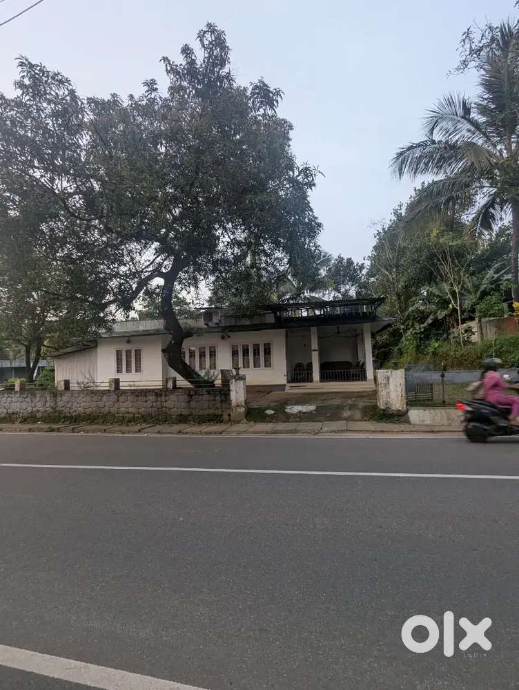 17cent land with house