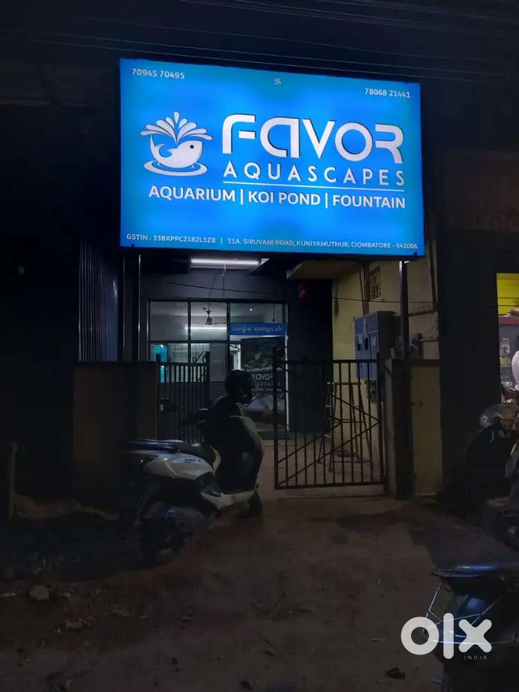 Aquarium Maintenance & Plumber